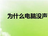 为什么电脑没声音（为什么电脑没声音）