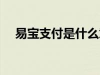 易宝支付是什么意思（易宝支付是什么）