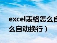 excel表格怎么自动换行变大（excel表格怎么自动换行）