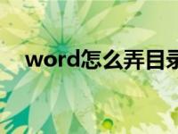 word怎么弄目录线（word怎么弄目录）