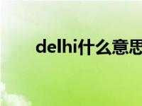 delhi什么意思中文（lohi什么意思）