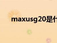 maxusg20是什么车（maxus什么车）
