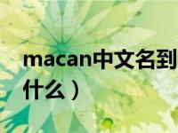 macan中文名到底叫什么（macan中文名叫什么）