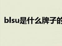 blsu是什么牌子的车（blsuauto是什么车）