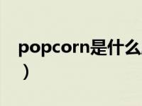 popcorn是什么牌子（popcorn是什么意思）