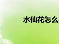 水仙花怎么养（水仙花怎么养）