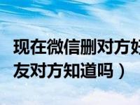 现在微信删对方好友对方知道吗（微信删除好友对方知道吗）