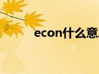 econ什么意思（econ什么意思）