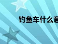钓鱼车什么意思（dy车什么意思）