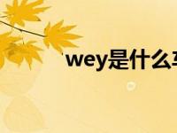 wey是什么车（dany是什么车）