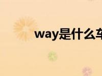 way是什么车标（way是什么车）