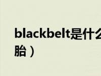 blackbelt是什么轮胎（blacklion是什么轮胎）