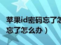 苹果id密码忘了怎么办视频教程（苹果id密码忘了怎么办）