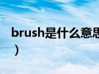 brush是什么意思啊英语（brush是什么意思）