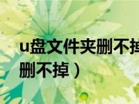 u盘文件夹删不掉目录不是空的（u盘文件夹删不掉）