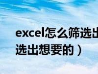 excel怎么筛选出想要的日期（excel怎么筛选出想要的）