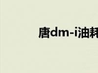 唐dm-i油耗（唐dm长途油耗）