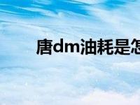 唐dm油耗是怎么测的（唐dm油耗）