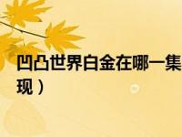 凹凸世界白金在哪一集出现的（凹凸世界白金在哪一集里出现）
