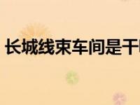长城线束车间是干嘛的（长城线束是干嘛的）