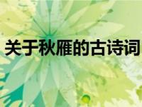关于秋雁的古诗词（描写秋雁迁徙的古诗词）