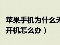 苹果手机为什么无缘无故打不开机（苹果开不开机怎么办）