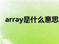 array是什么意思中文（array是什么意思）