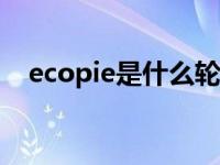 ecopie是什么轮胎（bridce是什么轮胎）