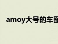 amoy大号的车图片（amoy大号 什么车）