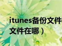 itunes备份文件在哪里win10（itunes备份文件在哪）