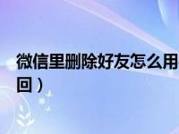 微信里删除好友怎么用手机找回（微信里删除的好友怎么找回）