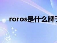 roros是什么牌子车（doros 是什么车）