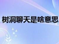 树洞聊天是啥意思（树洞式聊天是什么意思）