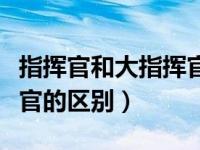 指挥官和大指挥官有啥区别（大指挥官和指挥官的区别）