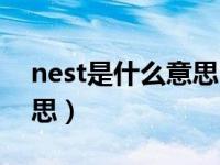 nest是什么意思中文怎么读（nest是什么意思）