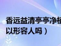 香远益清亭亭净植可以形容什么（亭亭净植可以形容人吗）