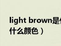 light brown是什么颜色（light orange是什么颜色）