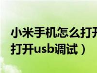 小米手机怎么打开usb调试啊（小米手机怎么打开usb调试）