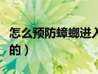 怎么预防蟑螂进入家里（蟑螂是怎么进入家里的）