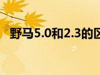 野马5.0和2.3的区别（野马2.3和5.0对比）