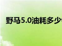 野马5.0油耗多少钱一公里（野马5.0油耗）