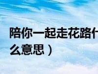 陪你一起走花路什么意思（一起走花路吧是什么意思）