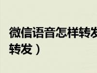 微信语音怎样转发给微信好友（微信语音怎样转发）