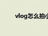 vlog怎么拍小学生（vlog怎么拍）