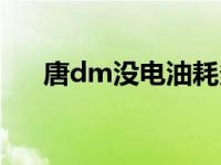 唐dm没电油耗多少（唐dm无电油耗）