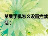 苹果手机怎么设置拦截电话信息（苹果手机怎么设置拦截电话）