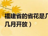 福建省的省花是几月开放的（福建省的省花是几月开放）