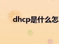 dhcp是什么怎么设置（dhcp是什么）