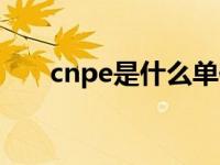 cnpe是什么单位（cnpe是什么单位）