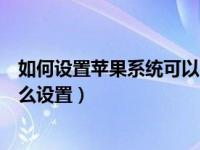 如何设置苹果系统可以用流量更新（苹果手机不更新系统怎么设置）